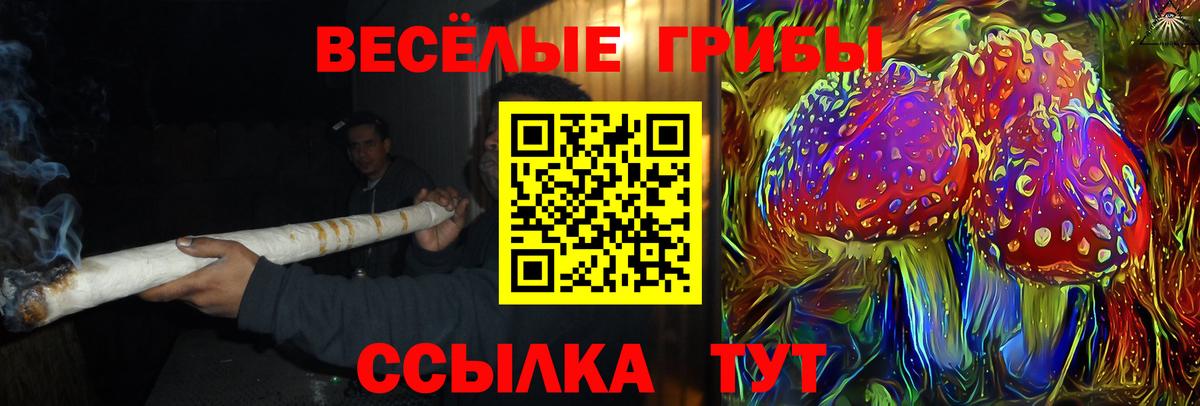 купить наркотик  Вход с VPN  Михайловка  Псилоцибиновые грибы Cubensis 