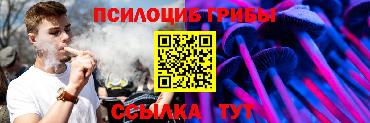Галлюциногенные грибы мицелий Михайловка